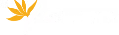 Gipsyy